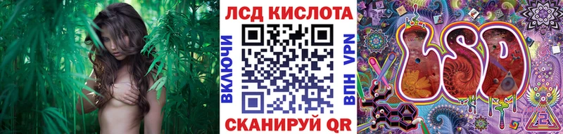 Наркотические марки 1500мкг  Купить закладки  Юрьев-Польский 